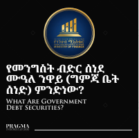 Government Debt Securities.pdf